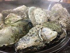 -蚝专家(北滘店)