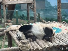 -大连森林动物园