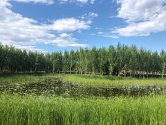 -东郊湿地公园