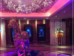 -纯K(打浦桥店)