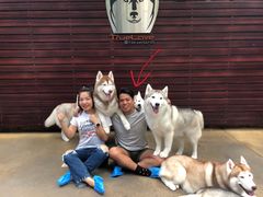 -TrueLove @ Neverland (Husky Cafe)