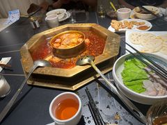 -蜀九香火锅(彩虹店)