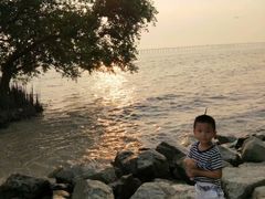 -宝安西湾红树林湿地公园