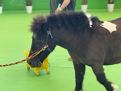 -宁波国际会展中心