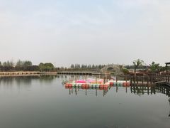 -上海鲜花港