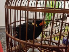 -蘭奢雅集·江浙菜(青山江滩店)