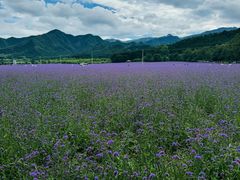 -百里山水画廊