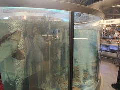 -海底捞大排档火锅(打浦路店)