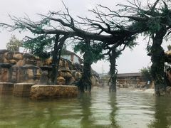 -大理地热国