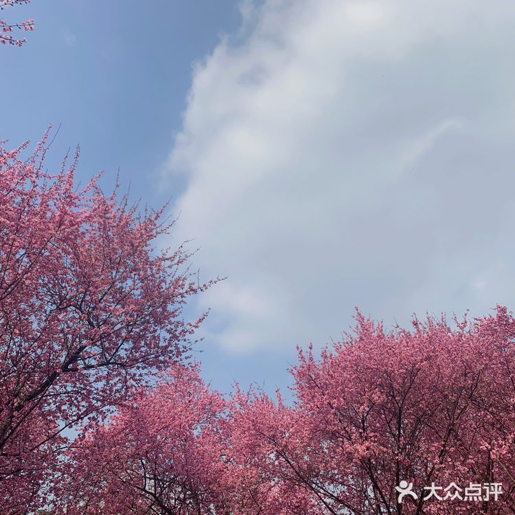 成都植物园
