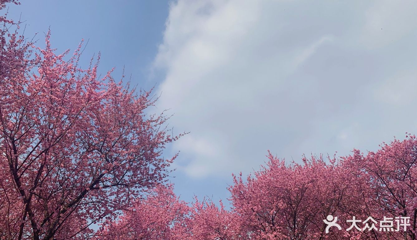 成都植物园