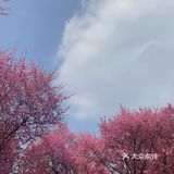 成都植物园