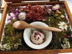 -芸山季·云南野生菌火锅(南翔印象城MEGA店)