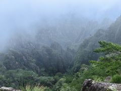 -黄山排云型旅酒店餐厅