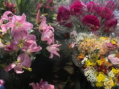 -天河体育中心