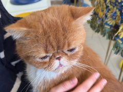 -平行世界·猫咖(首经贸店)