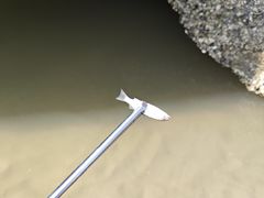 -南澳海滩