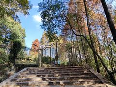 -上海市保健医疗中心