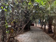 -呀路古热带植物园