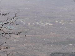 -北京鹫峰国家森林公园