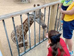 -大连森林动物园