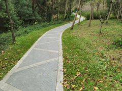 -昆山城市生态森林公园