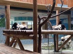 -西安秦岭野生动物园