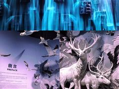 -中国湿地博物馆