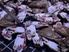 -聚盛源蒸汽海鲜火锅烤肉自助(巨川金海岸购物广场店)