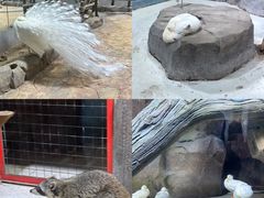 -海合安青岛极地海洋公园