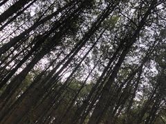 -比日神山