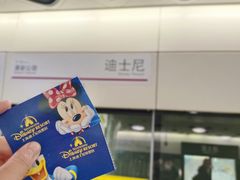 -上海迪士尼度假区