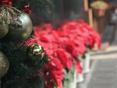 -深圳海景嘉途酒店(东翼楼)