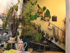 -Jo's Garden