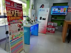 -中国电信(共富路专营店)