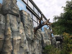 -泉州海丝野生动物世界