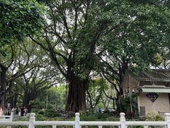 -荔湾湖公园