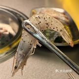 今天的烤肉吃货日记