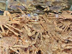 -海鲜潮·株洲海鲜集市(栗雨店)