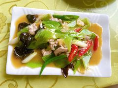 -龙翔山庄雷鸡肉(青城后山泰安古镇店)