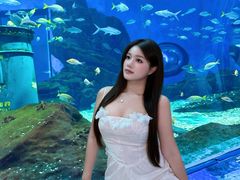 -海合安武汉极地海洋公园