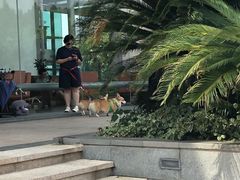 -太阳岛度假酒店