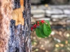 -天津东丽湖风景区