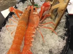 -鲜入围煮花胶鸡海鲜火锅