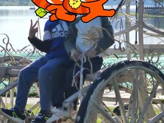 -九龙湖公园