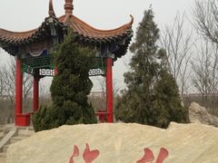 -大港湿地公园