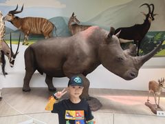 -陕西自然博物馆