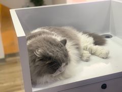 -拜鲁耶动物诊疗中心·宠家动物医院