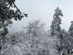 -峨眉山风景名胜区