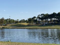 -春花秋色城市公园